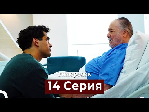 Видео: Зимородок 14 Cерия (Русский дубляж)