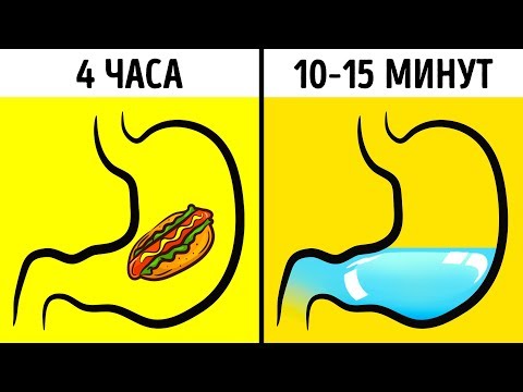 Видео: Можно ли Запивать Еду?
