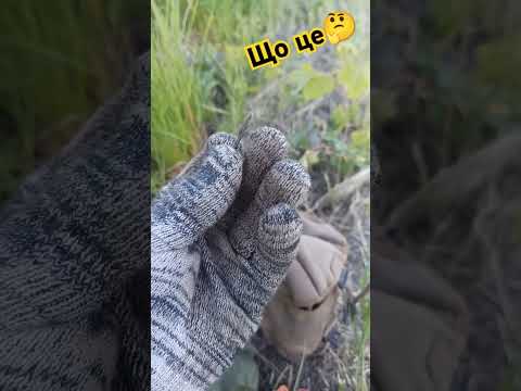 Видео: Що це таке🔥Знахідка💥Які в Вас думки... #metaldetecting