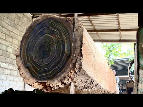 Видео: Шокирующий факт! Внутри большого гнилого бревна на лесопилке находится прекрасное сокровище.