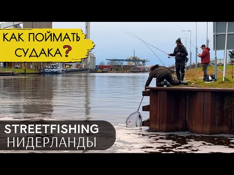 Видео: ОН ЛОВИЛ СУДАКА НЕ ТАК КАК ВСЕ❗️РАСКРЫВАЕМ СЕКРЕТ РЫБАЛКИ В ГОЛЛАНДИИ!