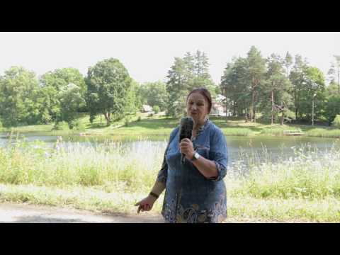 Видео: Пушкинские Горы.  Исторический центр и улицы посёлка