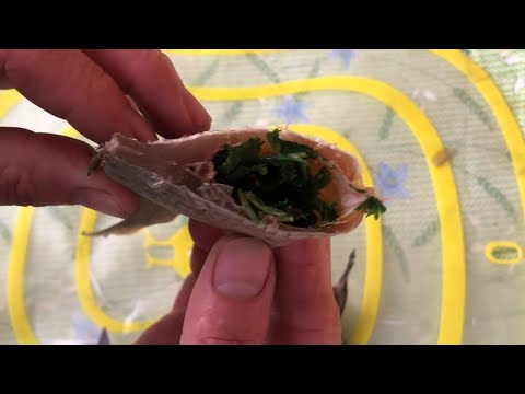 Видео: Сушу рибу не так.