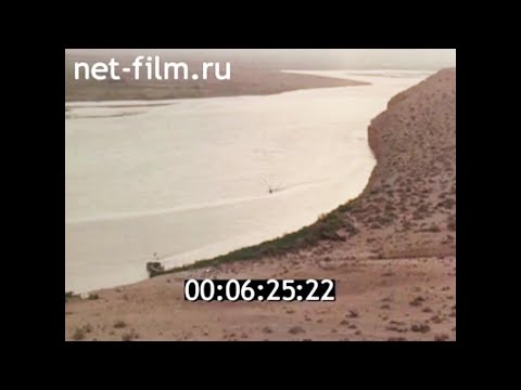 Видео: 1982г. река Амударья. лжелопатонос. Туркменистан.