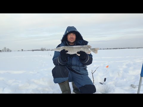 Видео: Экстремальная рыбалка за Тарой, старица Иртыша, Омская область,  настоящий мужской отдых