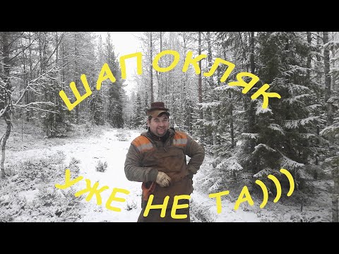 Видео: Металлокоп в лесу.Железа столько, что всё не забрали))))