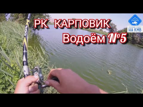 Видео: Рыбалка (КМВ). Ставропольский край. РК КАРПОВИК. Безумный клёв на удочку🎣