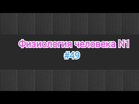 Видео: Физиология крови. Эритроциты, эритропоэз, эритроцитоз, анемия. Общая характеристика и его функция