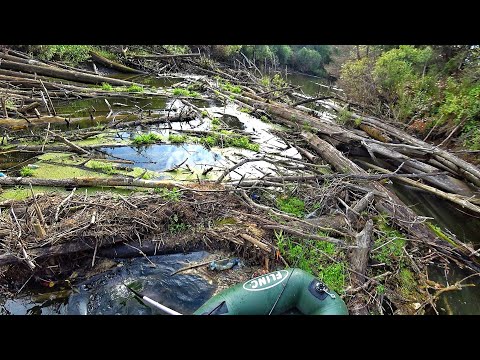 Видео: РЫБАЛКА В САМОМ СТРАШНОМ МЕСТЕ! ОПАСНЫЙ СПЛАВ - ИЗ РЫБАЛКИ В СТРАДАНИЯ!