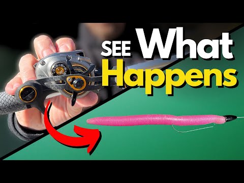 Видео: 99% из нас совершают ошибки в движении удилища — посмотрите синхронизированное видео движения уди...