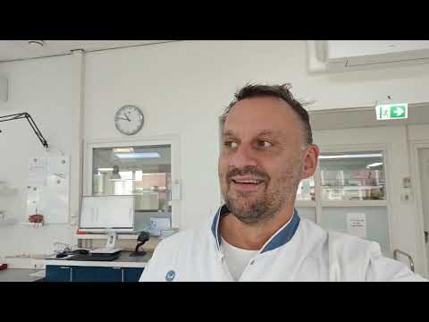 Видео: Насколько богатые Нидерланды