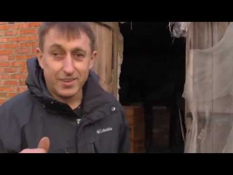 Видео: Пакетная пасека 650+ в зимовнике