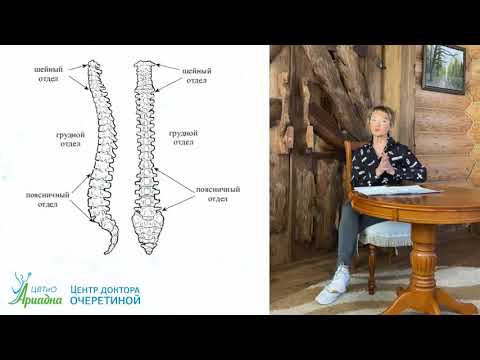 Видео: Проблема позвоночного столба и проблема внутренних органов