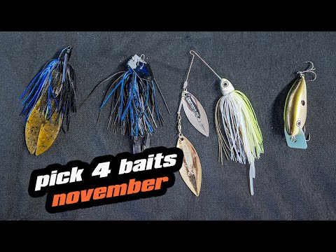 Видео: Pick 4 | Наживки на ноябрь