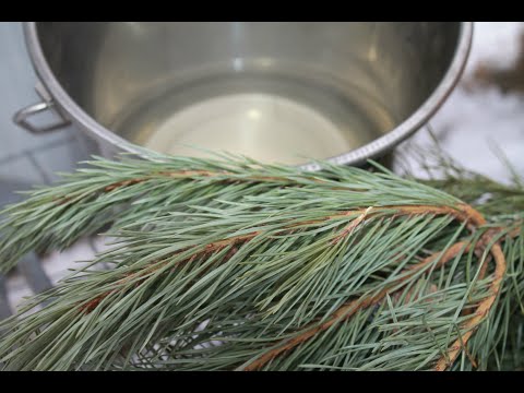 Видео: ХВОЯ КУРАМ НЕСУШКАМ !