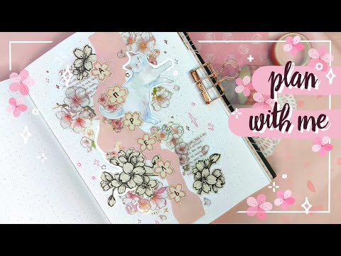 Видео: 🐈🌸 КОТИКИ и САКУРА | Апрель 2025 🌸🐈 Гайд по ПРОСТЫМ КОЛЛАЖАМ, которые ТОЧНО получатся! 😍 Ежедневник