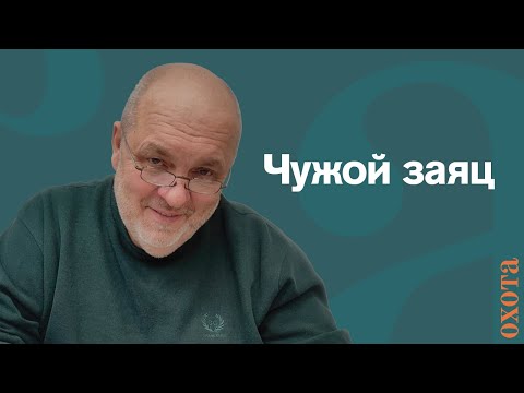 Видео: Чужой заяц. Валерий Кузенков об охотничьей этике.