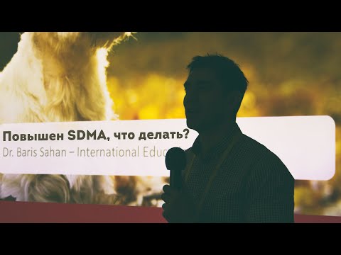 Видео: Повышенный уровень SDMA. Что делать?