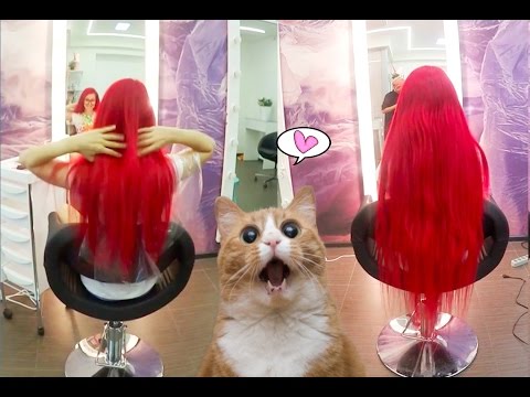 Видео: Как я отрастила волосы за 1 день