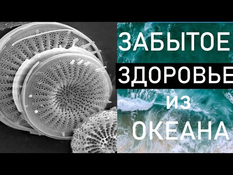 Видео: ДИАТОМИТ - ЗАБЫТОЕ ЗДОРОВЬЕ из океана. Кизельгур. Чем он полезен?