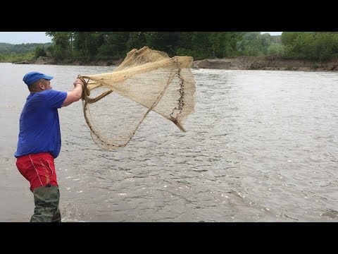 Видео: Рыбалка кастинговой сетью.Супер улов ч.1