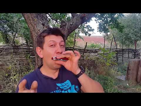 Видео: Бенд на шестом отверстии .Урок #31.How to play the blues on the harmonica.