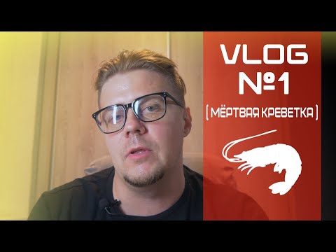Видео: VLOG 1 (тесты НИЛПА, мертвая креветка, буря в аквариуме)