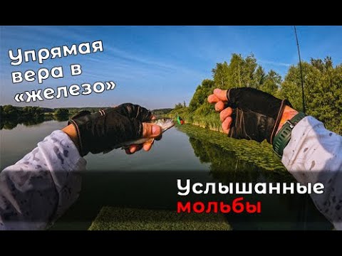 Видео: Два моста, одна активность. "Циклоп" наконец-то разловлен!