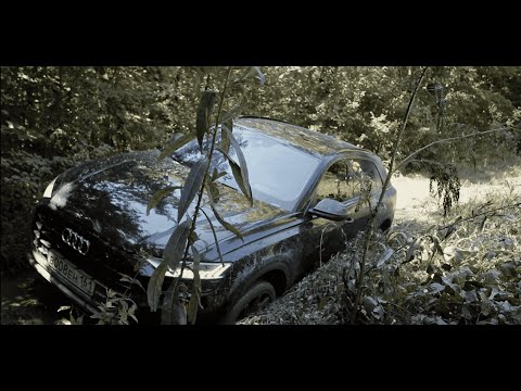 Видео: BMW x6 Audi Q8 Volkswagen Tiguan жесткий оффроад