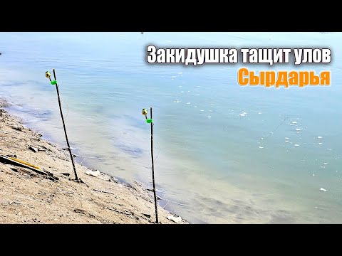Видео: Рыбалка На Закидушки и Фидер  Отличный клёв