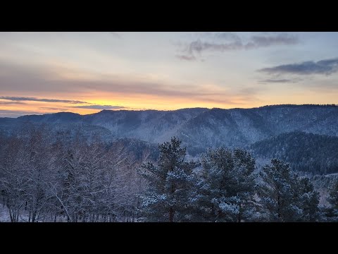 Видео: Встречаем рассвет в Сибирском лесу, выпал первый снег