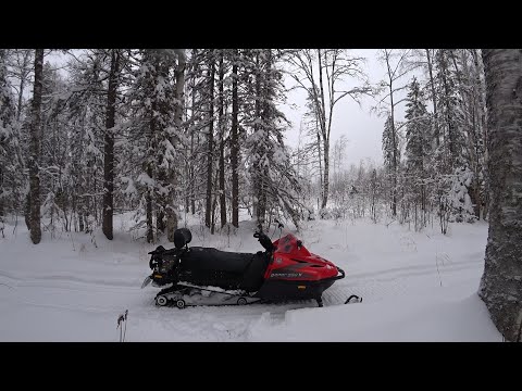 Видео: Охота на куницу капканами 2021,январь  Проверка на снегоходе тайга варяг 550v снегоход тайга