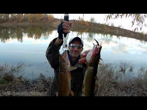 Видео: Всего одна самодельная приманка делает рыбалку. Щука на спиннинг в ноябре...