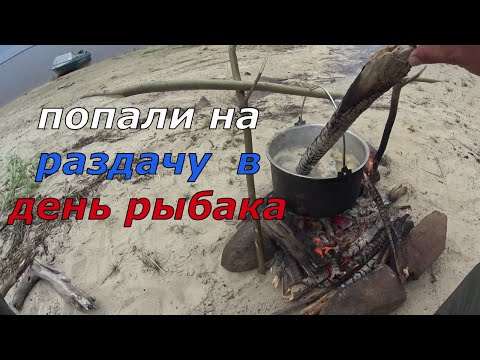 Видео: Дикий клёв в день рыбака. Уха на костре. Окунь, щука, язь.