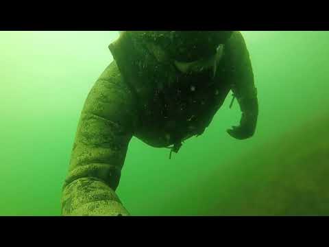 Видео: Norway, spearfishing, North sea. Подводная охота,лето 2025, часть2.