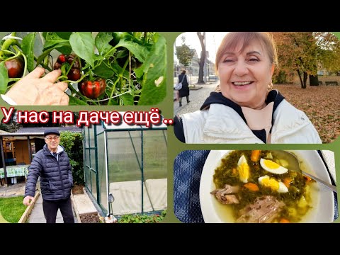 Видео: Чистка зубов - сколько стоит?   А у нас на даче ещё  перцы..Щавелевый суп.