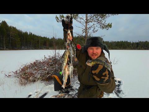 Видео: 🔥ПЕРВОЛЕДЬЕ 2023. РЫБАЛКА В КАРЕЛИИ. РЫБАЛКА ПО ПЕРВОМУ ЛЬДУ. ИЩУ КРУПНОГО ОКУНЯ НА ГЛУБИНЕ.