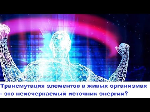 Видео: Трансмутация элементов в живых организмах   это неисчерпаемый источник энергии?