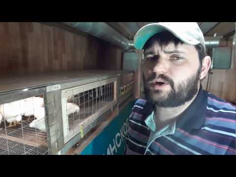 Видео: Клетки из брусков и сетки. Бройлеры.