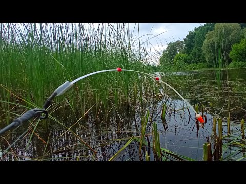 Видео: ПОПАВ НА КЛЬОВ ЗАЛІКОВИХ КАРАСІВ. Рибалка на боковий кивок