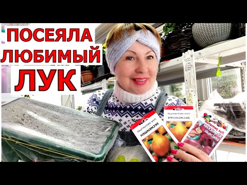 Видео: Посев любимого лука.4 совета для получения отличного результата по выращиванию лука семенами