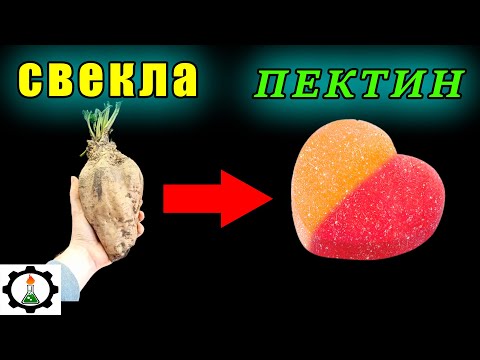 Видео: 🥕Как добыть ПЕКТИН из СВЕКЛЫ