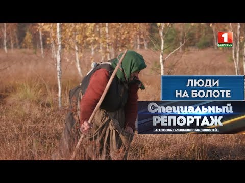 Видео: Люди на болоте. Специальный репортаж