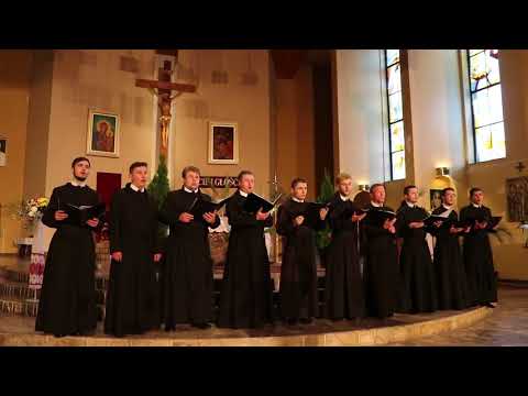 Видео: "Ми херувимів". Виконує чоловічий монаший хор «DEISIS»