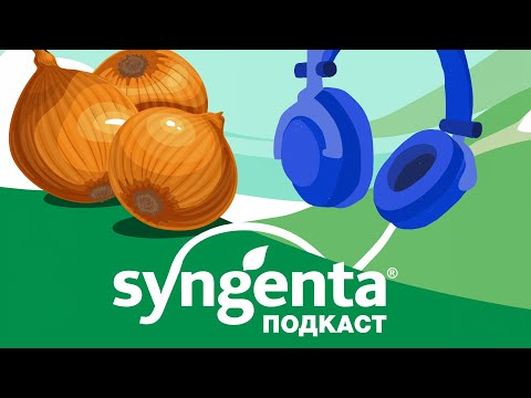 Видео: 🧅 Фузариозная гниль донца лука