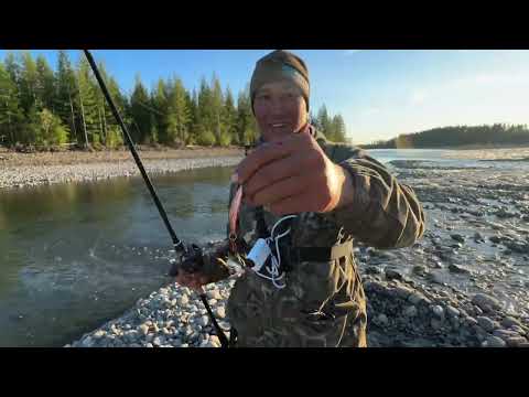 Видео: ВОТ ЭТО РЫБАЛКА, ЩУКИ ЖРУТ НАЛИМОВ, ТРОФЕЙНЫЕ ЛЕНКИ, СИГИ.