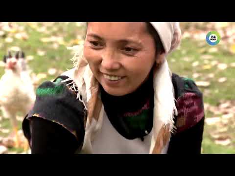 Видео: Кыргызстан – родина грецкого ореха  Греки забрали славу