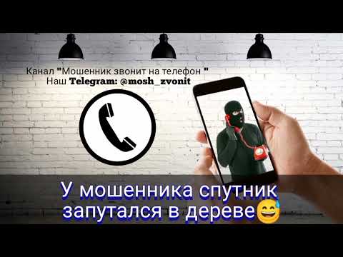 Видео: У мошенника спутник запутался в дереве