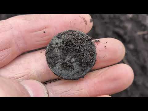 Видео: #68 Поиск монет с верным другом.