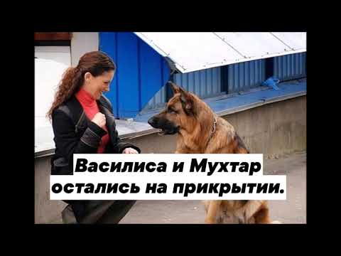 Видео: Последнее дело оперов ОВД Щукино